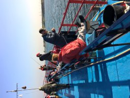 Competities HSV Alfheim